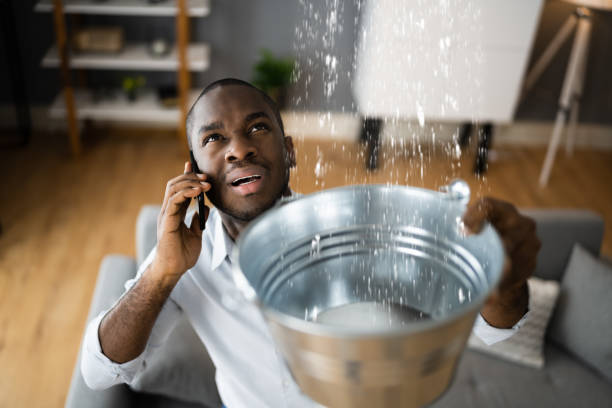 Best Ceiling water damage repair  in Deland, FL