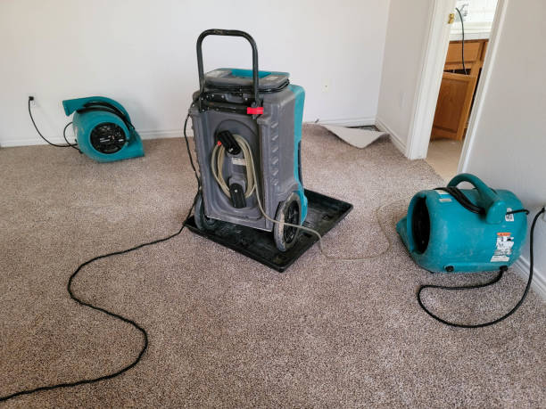 Water damage restoration insurance claims in Deland, FL
