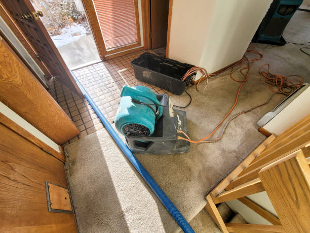 Best Flooded house restoration  in Deland, FL