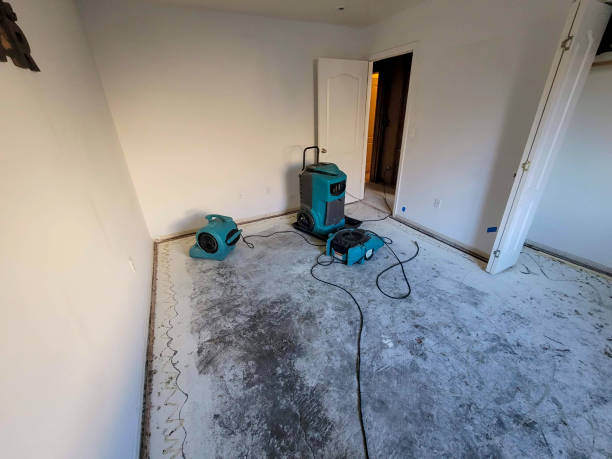 Best 24-hour water damage restoration  in Deland, FL
