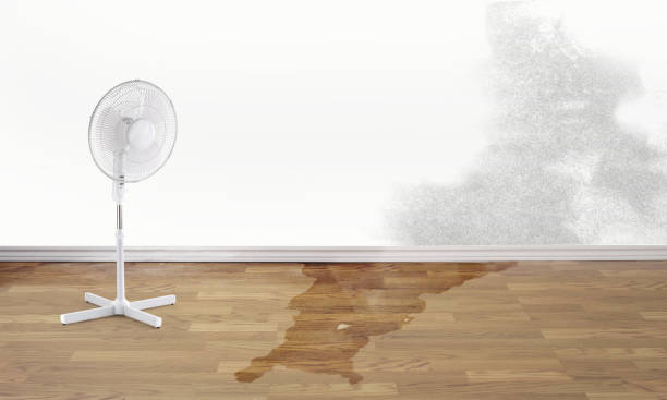 Best Local water damage restoration  in Deland, FL