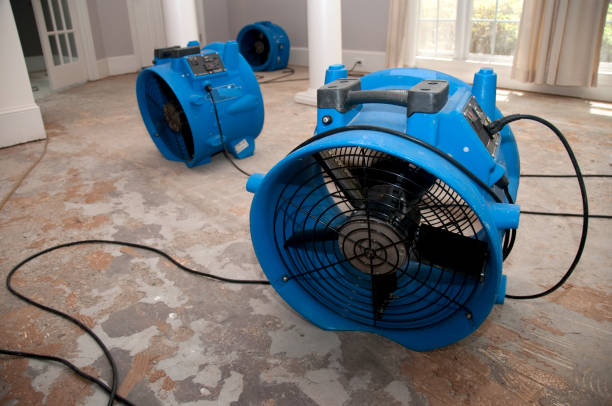 Best Water damage cleanup near me  in Deland, FL