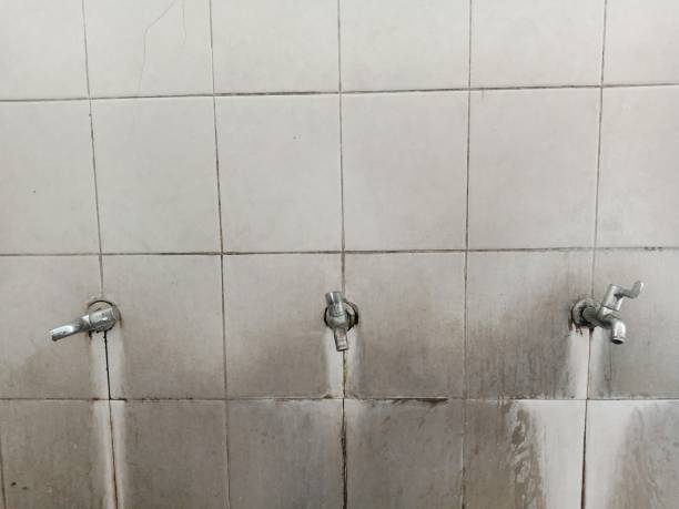 Best Water damage restoration near me  in Deland, FL