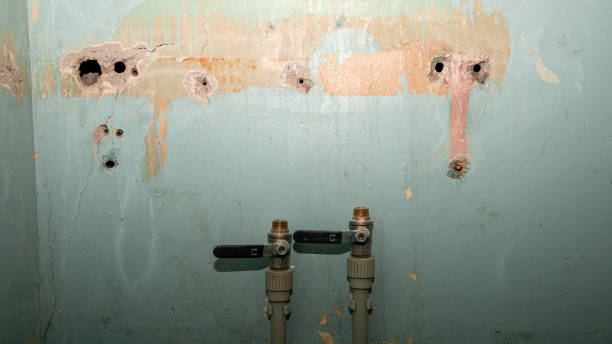 Best Fire Damage Restoration  in Deland, FL