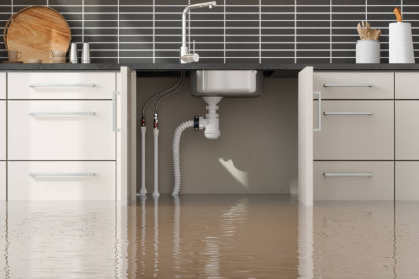 Best Basement water damage restoration  in Deland, FL