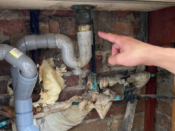 Best Water damage contractors near me  in Deland, FL